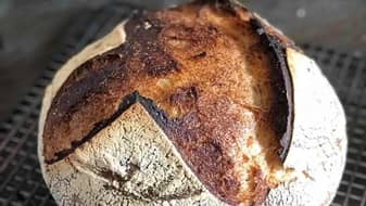 Ryan D Bread